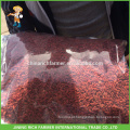 Exportação para a Rússia Xinjiang alta qualidade secas Goji Berry